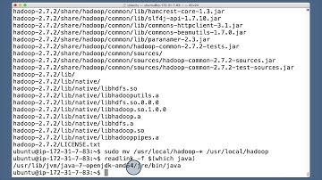 Set environment variables