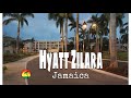 🇯🇲 Hyatt Hotel | Montego Bay | Jamaica
