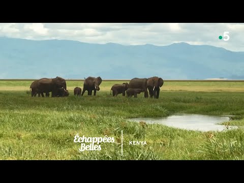 Kenya, un rêve de safari - Échappées belles