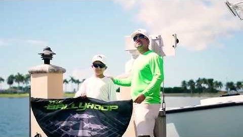 BallyHoop Collapsible Hoop Net