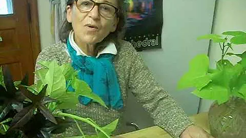 Hello, Norma!  Message from Gina