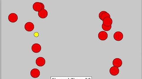 CS 105 Final Project Video - Zoe Moore