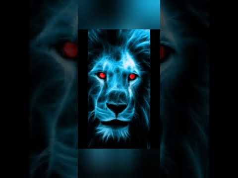 Lion song