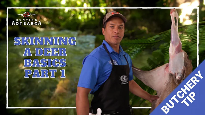 The basics of skinning a Deer - Hunting Aotearoa Tip Part 1