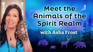 Meet the Animals of the Spirit Realm