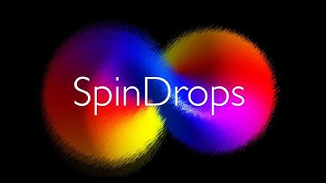 SpinDrops: Exploring the dynamics of coupled spins
