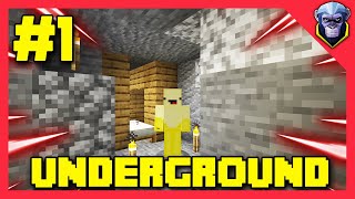 Making An Underground Starter Base! || Hardcore Season #2 Episode #1 || Hindi | Urdu