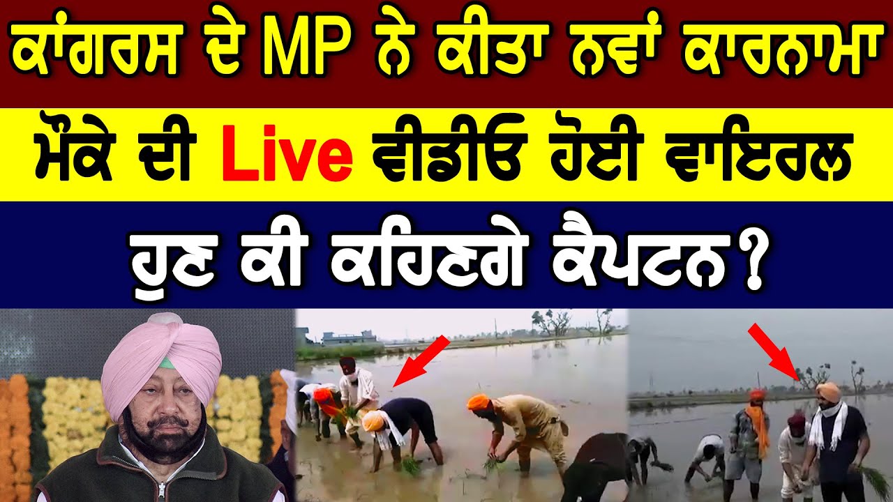 ਕਾਂਗਰਸ ਦੇ MP ਨੇ ਕੀਤਾ ਨਵਾਂ ਕਾਰਨਾਮਾ, ਮੌਕੇ ਦੀ Live ਵੀਡੀਓ ਹੋਈ ਵਾਇਰਲ, ਹੁਣ ਕੀ ਕਹਿਣਗੇ ਕੈਪਟਨ?