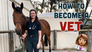 HOW TO BECOME A VETERINARIAN // Q&A with an Equine Veterinarian screenshot 4