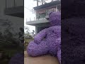 រមណីយដ្ឋានគីរីរម្យ💨 #natural