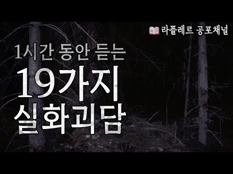 1시간 동안 듣는 19가지 실화괴담 #무서운이야기 #실화괴담 [무서운 이야기 몰아듣기] : 라플레르 공포채널