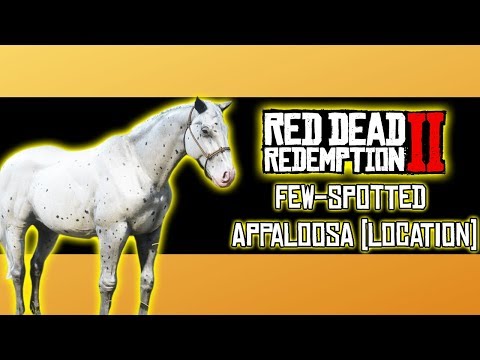 Actors  Wild Horse Kate's Red Dead Redemption