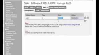 Setting up RAID 5 on a FreeNAS server