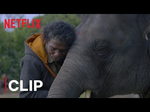 What Do Elephants Want? | The Elephant Whisperers | Oscar-Winning Documentary | Netflix India