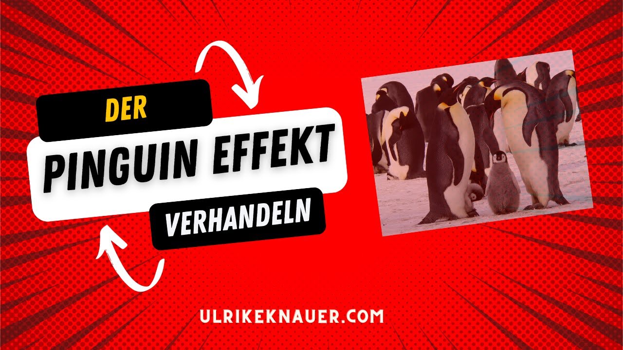 video-der-pinguin-effekt-in-verhandlungen-was-ist-das-eigentlich