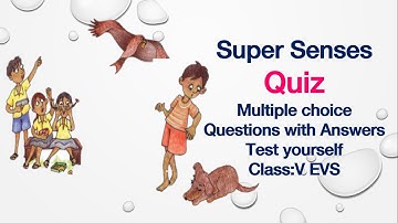 Quiz(Test yourself)-Super Senses-Class5-EVS-NCERT-CBSE-Multiple Choice Questions