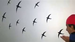 Ömür Kurşun - İhanet