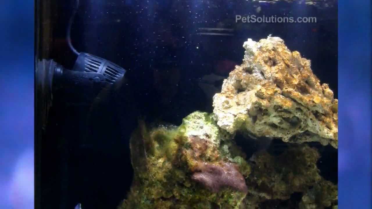 PetSolutions: Fluval Sea Circulation Pumps