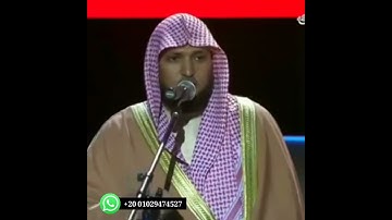 حالات واتساب قران بصوت الشيخ ماهر المعيقلي  يا أيها الناس انا خلقناكم من ذكر وانثي سورة الحجرات