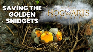 Saving the Golden Snidgets - Hogwarts Legacy