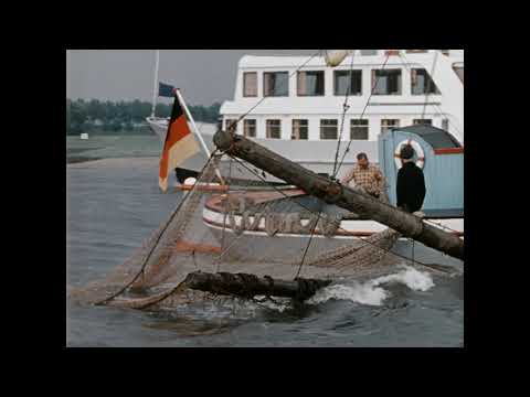 Rheinfischerei. Teil 1: Aalschokker