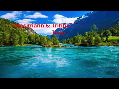 Mosimann & Tribbs - Halo