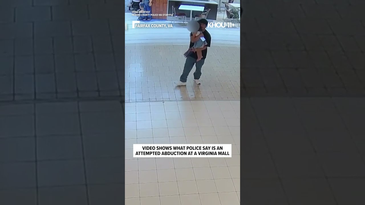 Video Shows What Police Say Is An Attempted Abduction At Virginia Mall