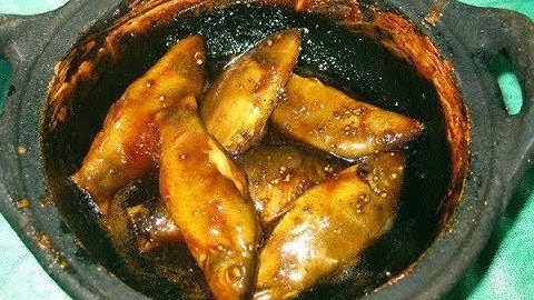 Đặc sản cá heo nước ngọt miền Tây: sản vật mùa nước nổi