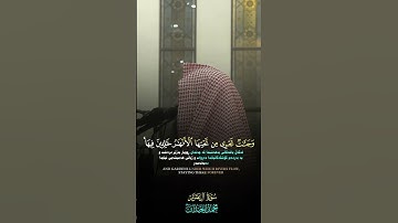 محمداللحيدان[سورة/ آل عمران]#محمد_اللحيدان #سورة_آل_عمران #أن_الله_وملائكتة_يصلون_على_النبي #الله