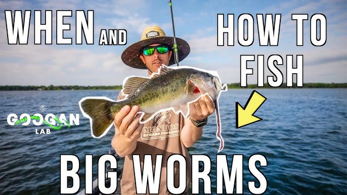 How to fish the WACKY WORM - Bass Fishing Tips #shorts 