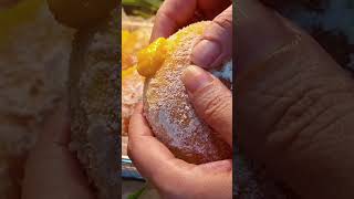 You have Some Mango!Make This Wonderful Quick & Easiest Donuts That is incrediable Delicious & Yummy