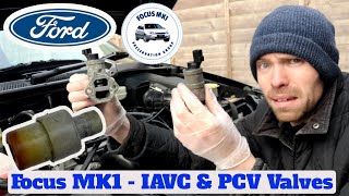 Focus MK1 - Maintaining your IAC & PCV Valves! by Usually Fixing & Tinkering 770 views 2 weeks ago 24 minutes