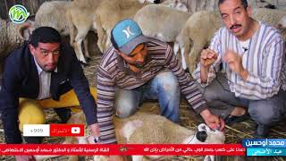 طريقة ذبح اضحية العيد - الدكتور محمد أوحسين Dr Mohamed ouhssine - Aid Adha
