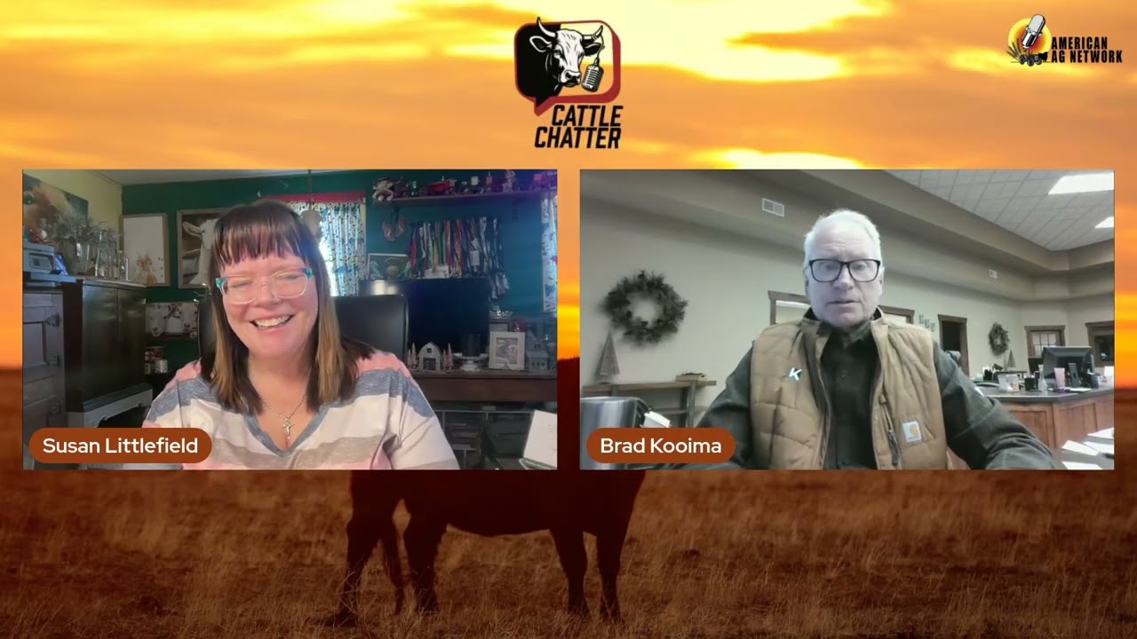 Торговля скотом становится нестабильной из-за колебаний темпов | 12.02.2026 Разговоры о скоте