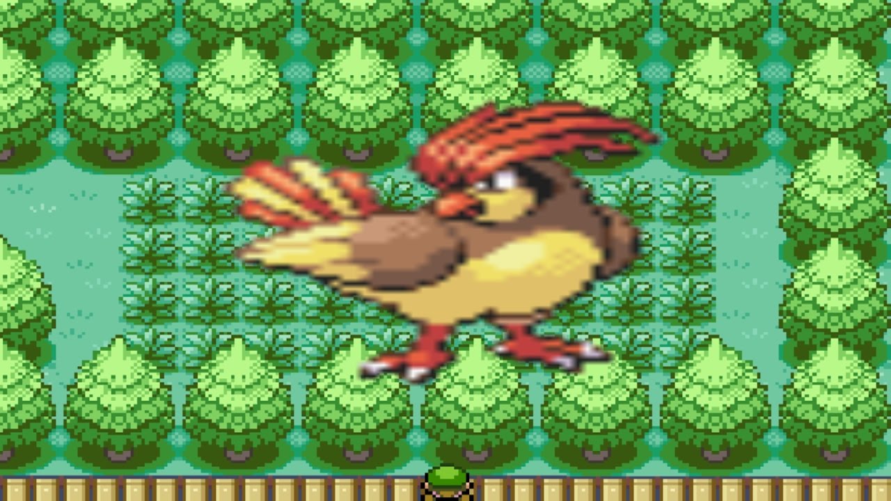 How to find Pidgeotto in Fire Red and Green YouTube