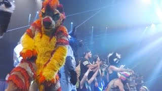 Atheo's Anthrocon 2016 Con Video