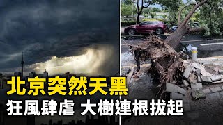 北京瞬間天黑  狂風暴雨 大樹連根拔起整個北京城大風呼嘯 天空一片昏暗 大風、暴雨、雷電 突然襲來#人民報