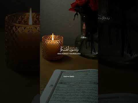 قال رسول الله ﷺ بل غ وا ع ن ي ولو آي ة  اكسبلور اشتراك لايك القرآن الكريم قران كريم