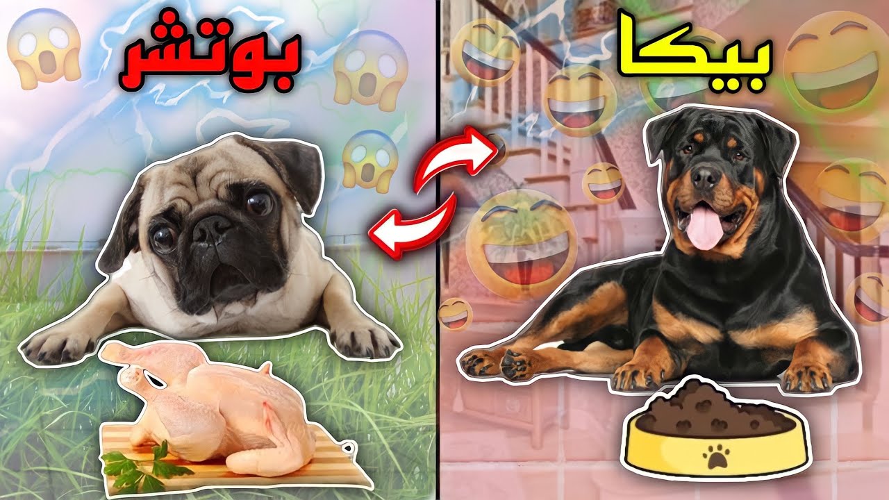 بدلت حياه بوتشر بحياه بيكا لمده 24 ساعه | هيعرفوا يعيشوا مكان بعض ولا لا 😱