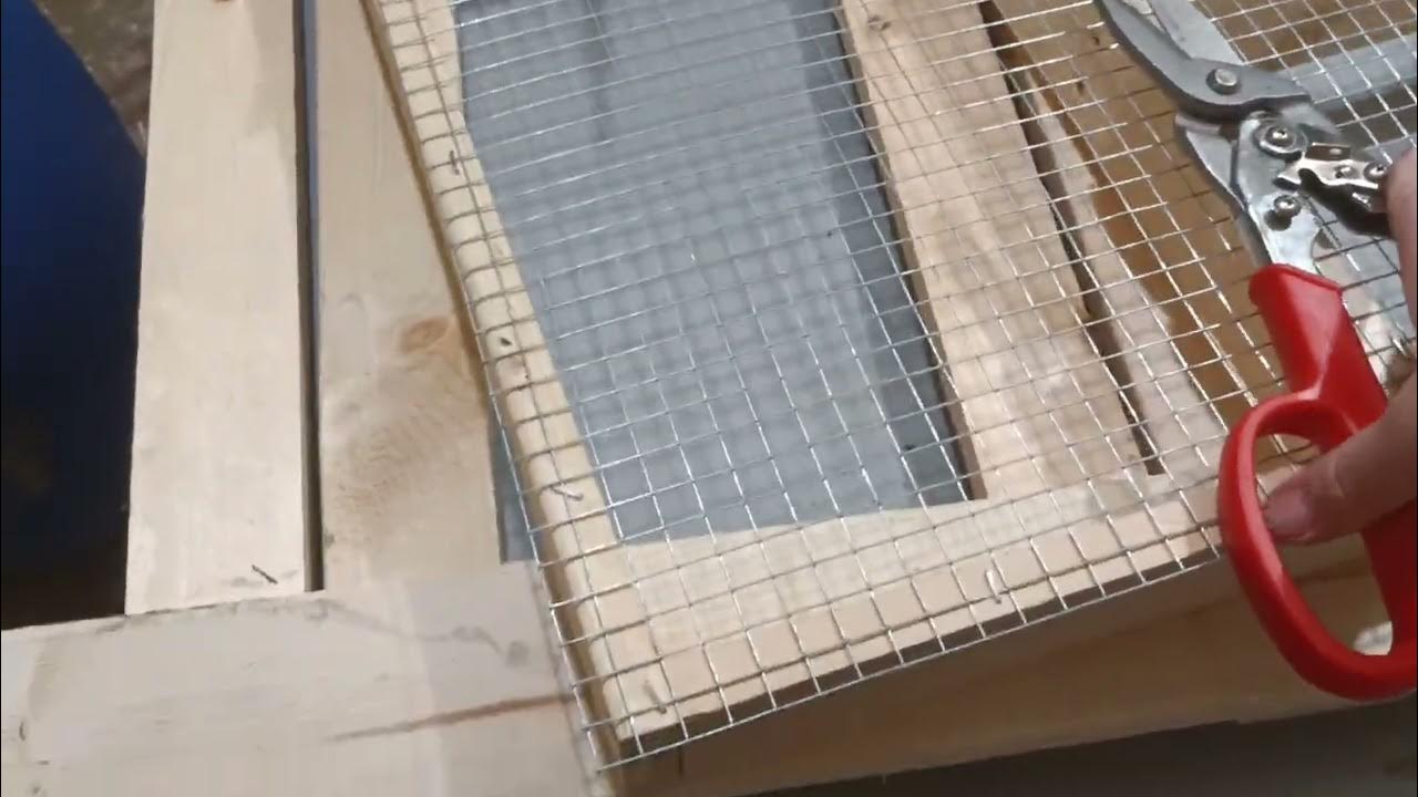 diy rat breeding rack mistakes to avoid. YouTube