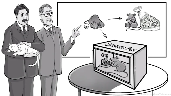 Skinner’s Operant Conditioning: How Rewards & Punishments Shape Behavior!