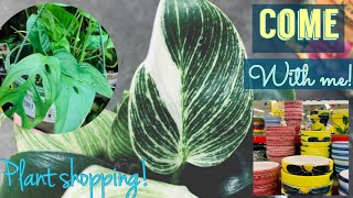 Plant & Pot shopping ALL day! | Ollies, Walmart, Lowes, Home Depot & Big Lots ! | Lots of 🪴 finds!