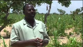 Managed Regeneration