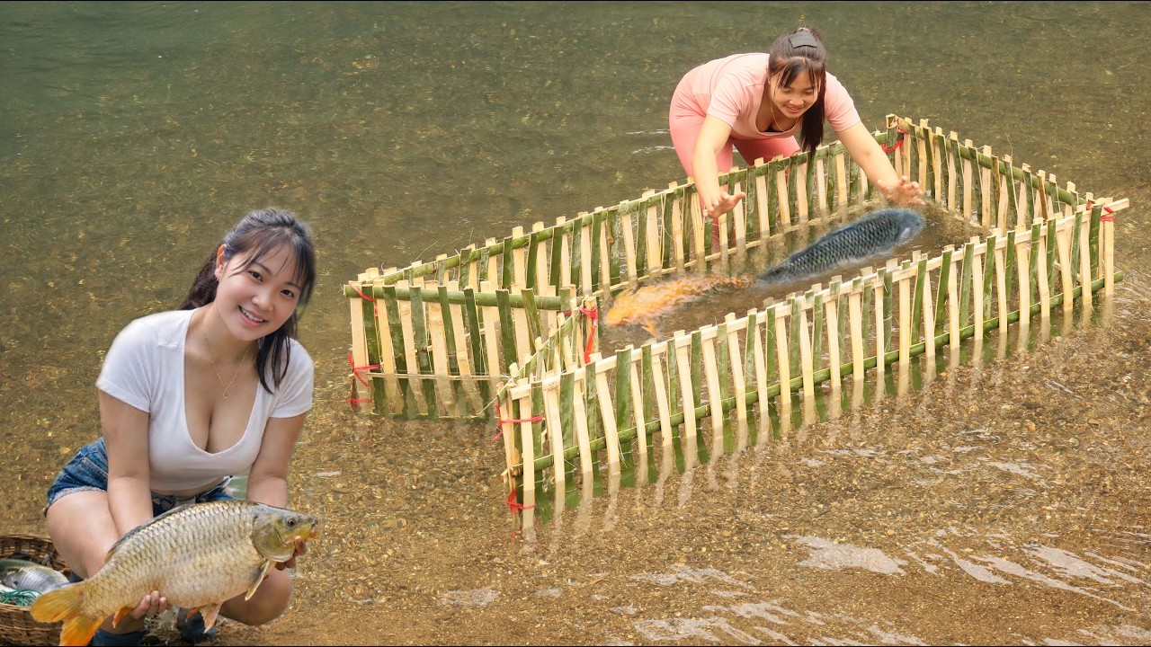 Beautiful Girl Builds Smart Bamboo Fish Trap – Catching Huge Carp in ...