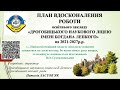 План вдосконалення роботи освітнього закладу«Дрогобицького наукового ліцею імені Богдана Лепкого»ДМР