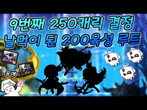 메이플 🌊아홉번째 250캐릭 결정, 200육성 구간이 너무 편해졌습니다🌊 feat.길라잡이