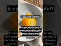 is egg yolk harmful? #shortsfeed #food #easynutrition #healthyfood #egg #eggyolk #harmful #protein