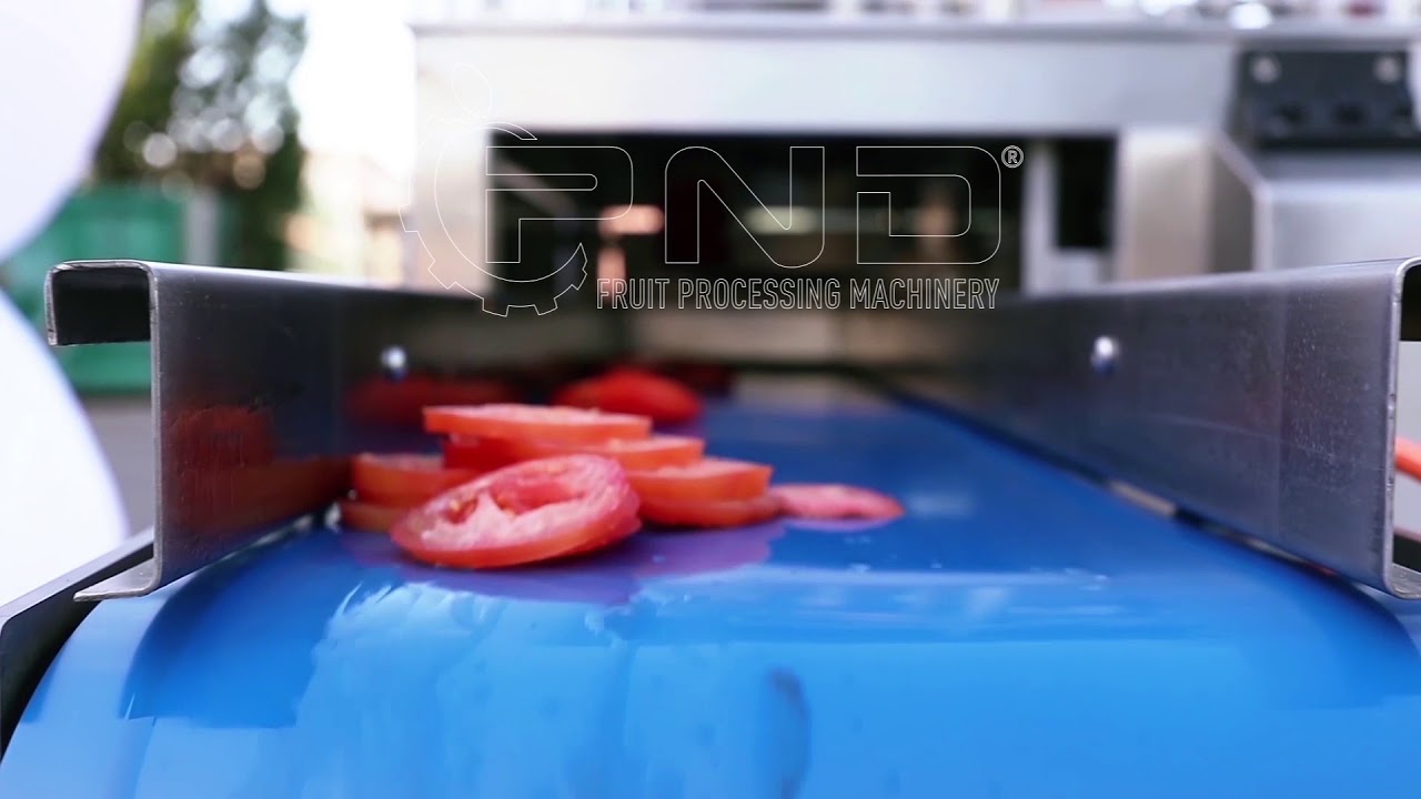 TOMATO SLICING on universal cutting machine mod. SS8 YouTube