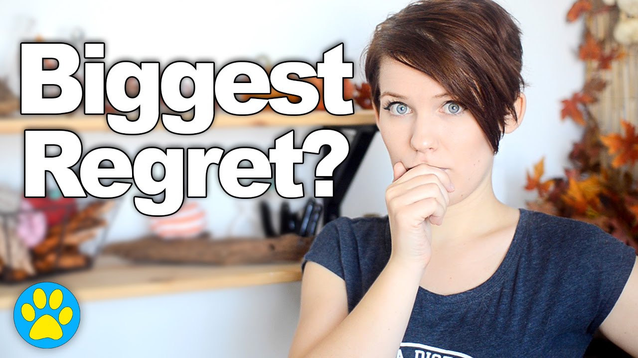 puppy paradise My Biggest Pet Regret? | September Q&A