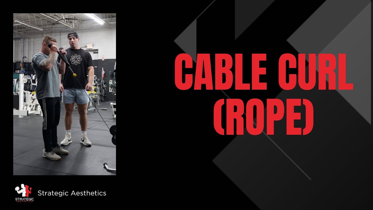 Curling Rope Cable Bicep Curl (Rope) - Exercise Index - YouTube